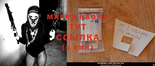 индика Аркадак