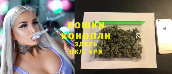 apvp Арсеньев