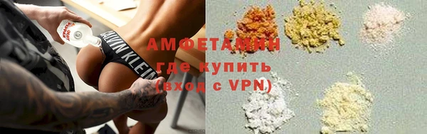 индика Аркадак