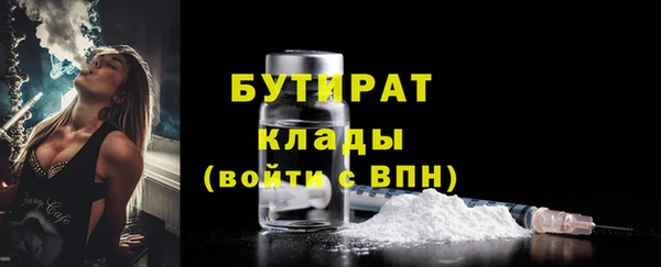 индика Аркадак