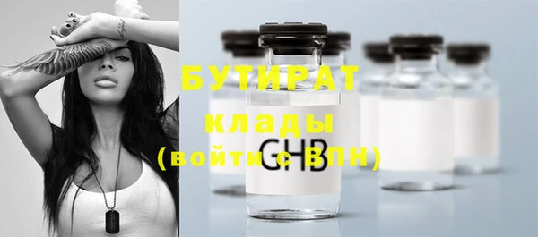 индика Аркадак
