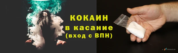 индика Аркадак