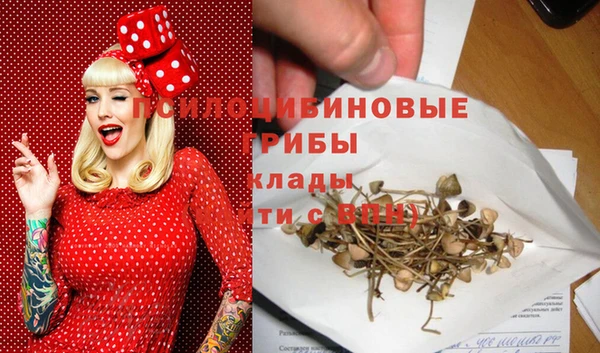 apvp Арсеньев