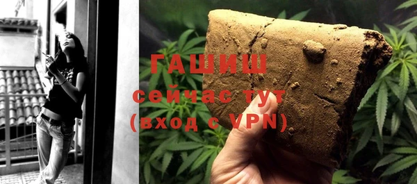индика Аркадак