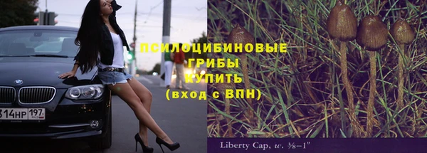 индика Аркадак