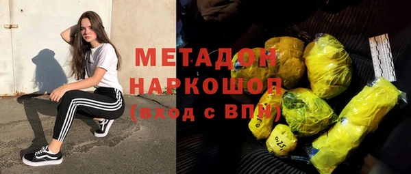 индика Аркадак