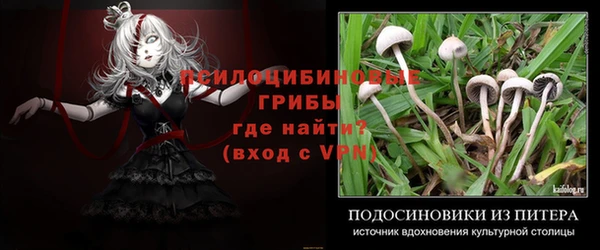 apvp Арсеньев