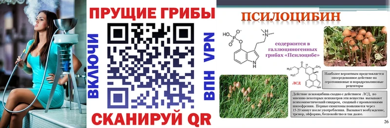 Галлюциногенные грибы GOLDEN TEACHER  Теберда 